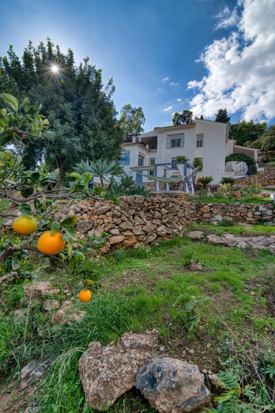 Villa Morera Bed & Breakfast Frigiliana Extérieur photo